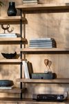Paulsen & Nilsen Bookshelf